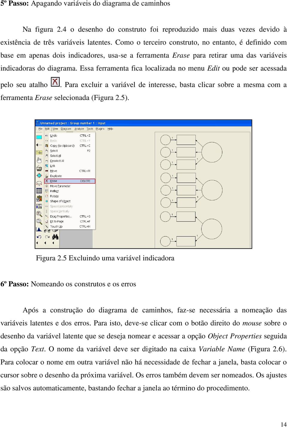 Essa ferramenta fica localizada no menu Edit ou pode ser acessada pelo seu atalho. Para excluir a variável de interesse, basta clicar sobre a mesma com a ferramenta Erase selecionada (Figura 2.5).