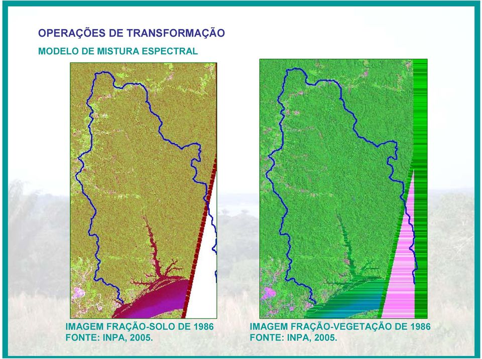 DE 1986 FONTE: INPA, 2005.