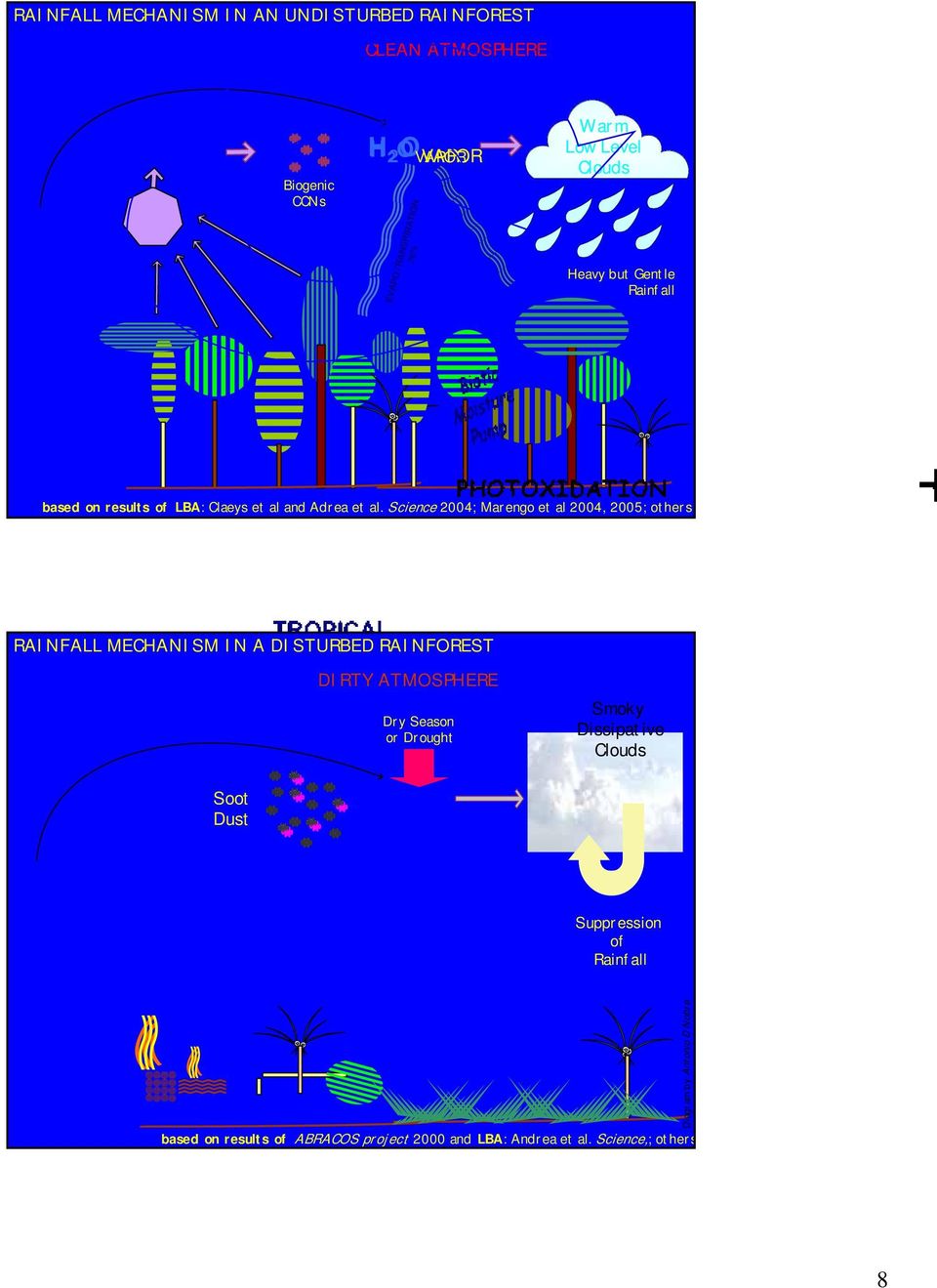 Science 2004; Marengo et al 2004, 2005; others RAINFALL MECHANISM IN A DISTURBED RAINFOREST Soot Dust DIRTY ATMOSPHERE Dry Season or