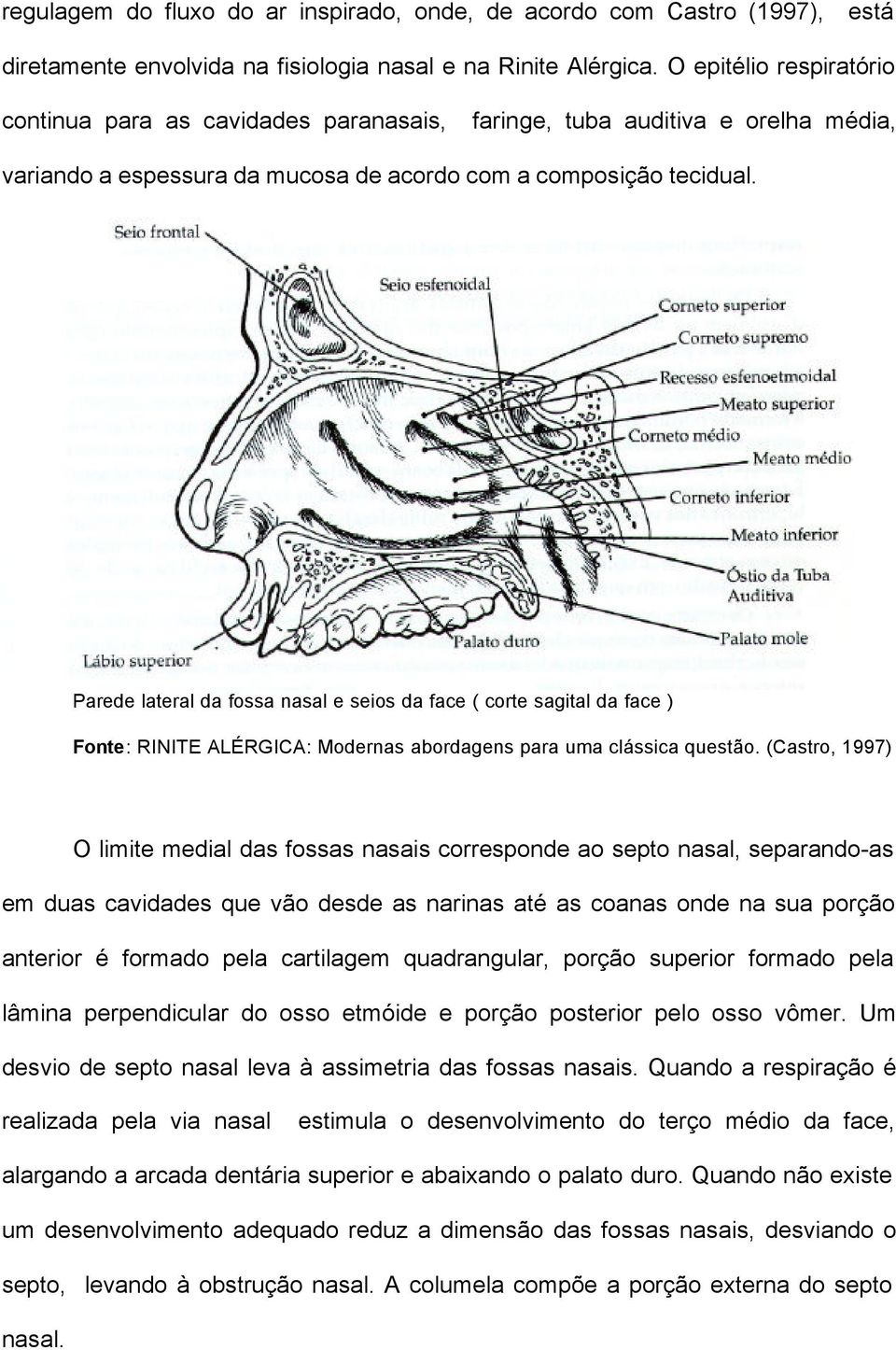 Parede lateral da fossa nasal e seios da face ( corte sagital da face ) Fonte: RINITE ALÉRGICA: Modernas abordagens para uma clássica questão.