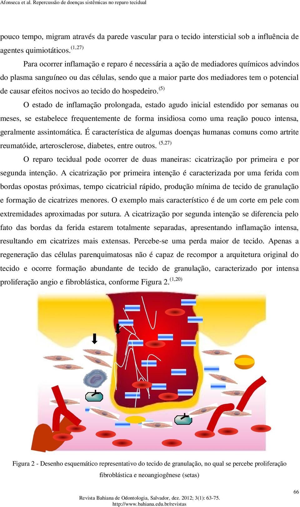 efeitos nocivos ao tecido do hospedeiro.