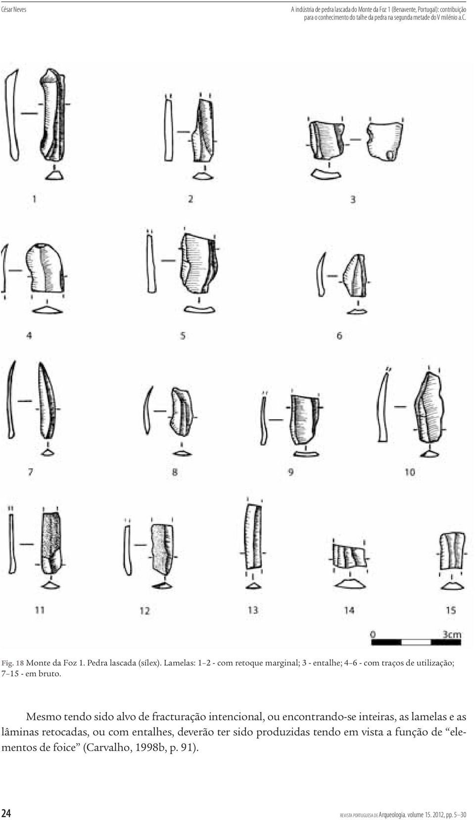 Lamelas: 1 2 - com retoque marginal; 3 - entalhe; 4 6 - com traços de utilização; 7 15 - em bruto.