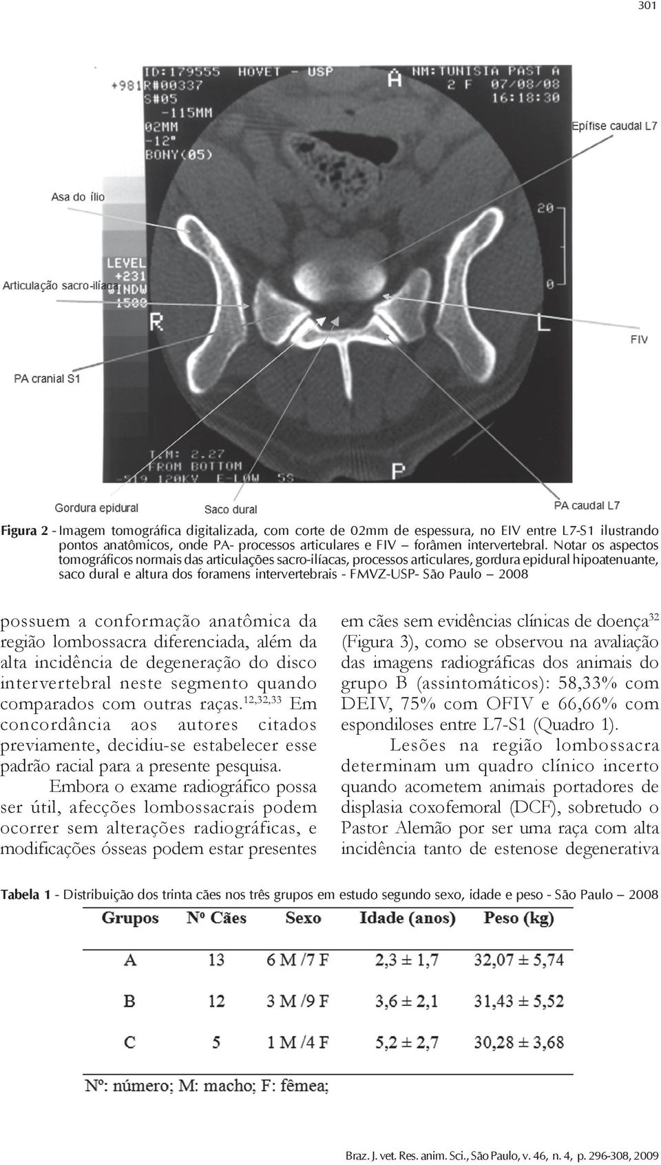 2008 possuem a conformação anatômica da região lombossacra diferenciada, além da alta incidência de degeneração do disco intervertebral neste segmento quando comparados com outras raças.