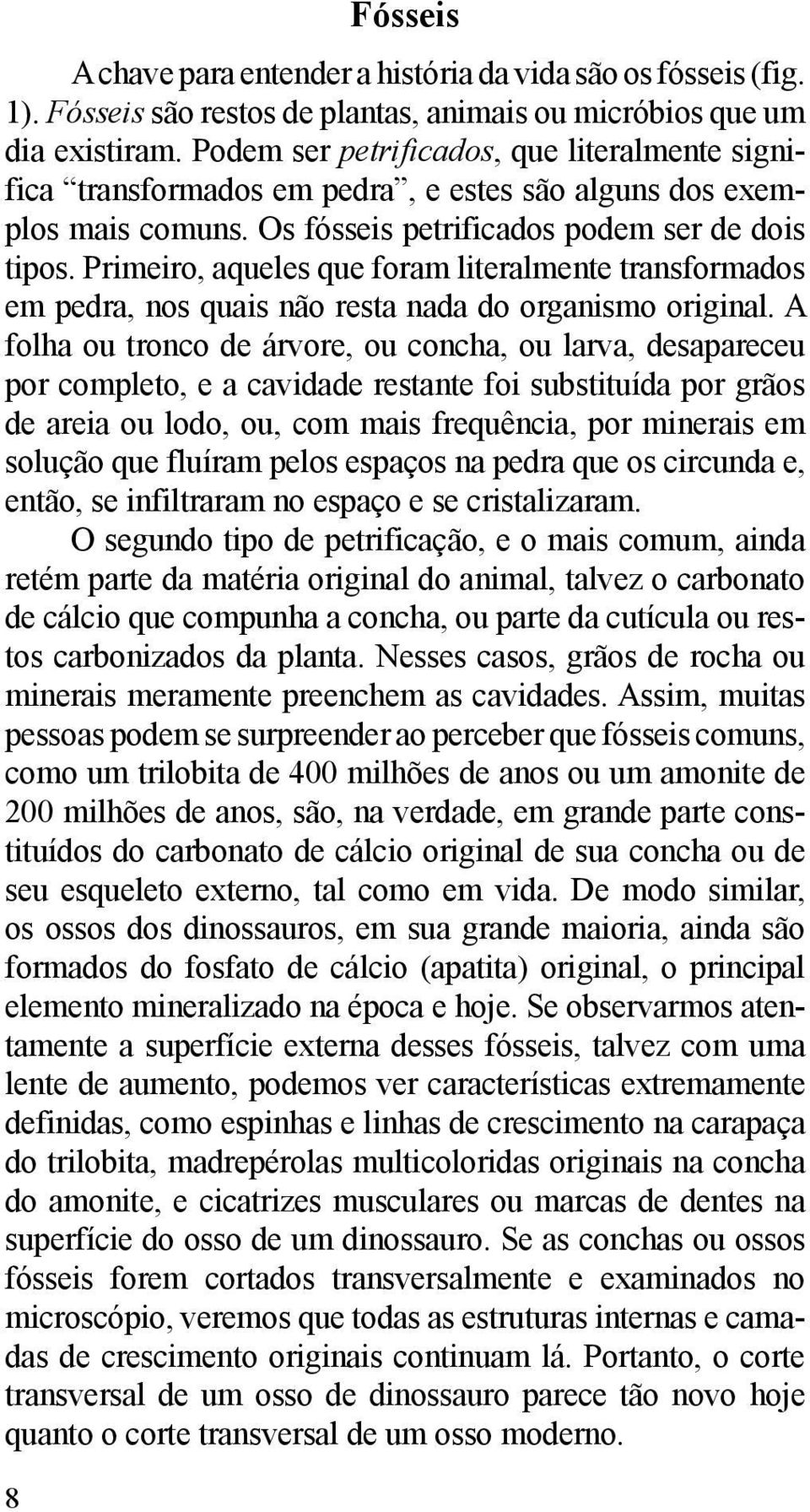 Primeiro, aqueles que foram literalmente transformados em pedra, nos quais não resta nada do organismo original.