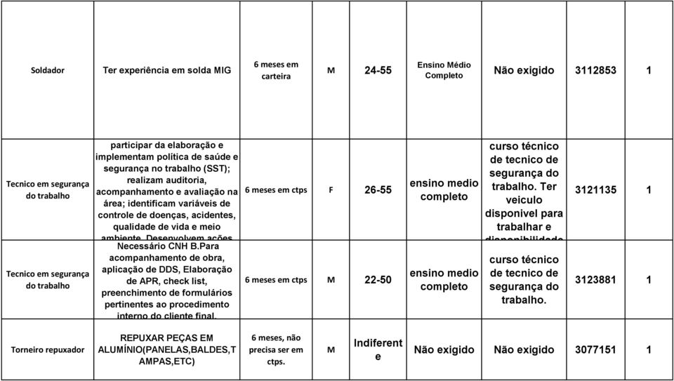 Desenvolvem ações CNH B.Para acompanhamento de obra, aplicação de DDS, Elaboração de APR, check list, preenchimento de formulários pertinentes ao procedimento interno do cliente final.