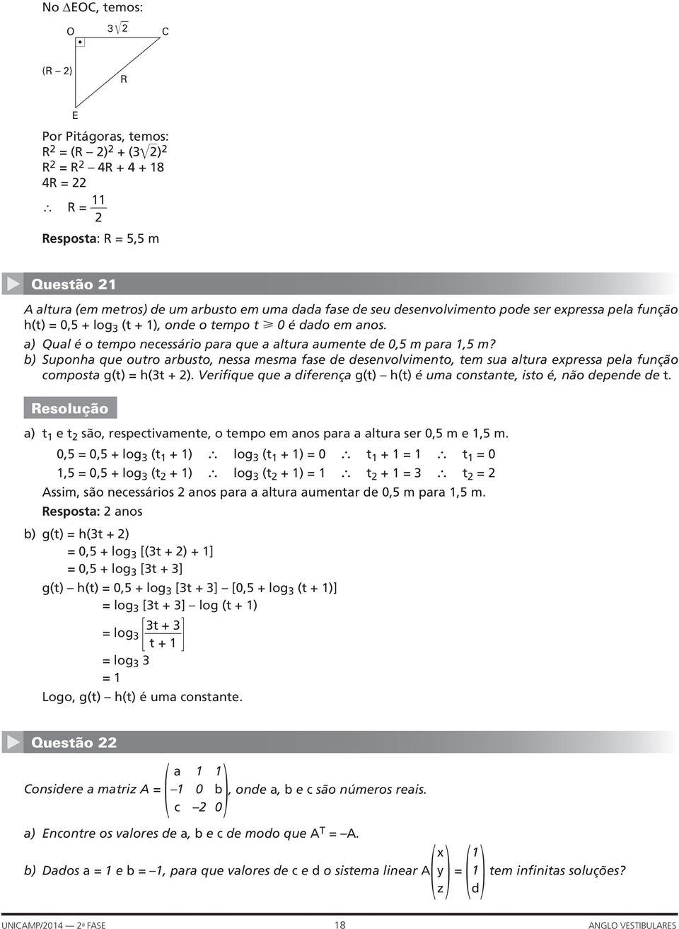 ) Suponha que outro arusto, nessa mesma fase de desenvolvimento, tem sua altura expressa pela função composta g(t) = h(3t + 2).