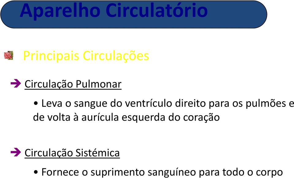 volta à aurícula esquerda do coração Circulação