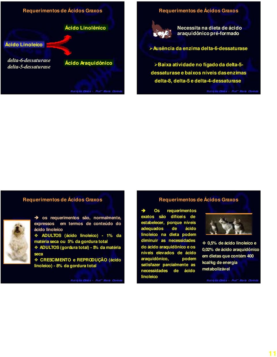 Requerimentos de Ácidos Graxos Requerimentos de Ácidos Graxos os requerimentos são, normalmente, expressos em termos de conteúdo do ácido linoleíco ADULTOS (ácido linoleíco) - 1% da matéria seca ou