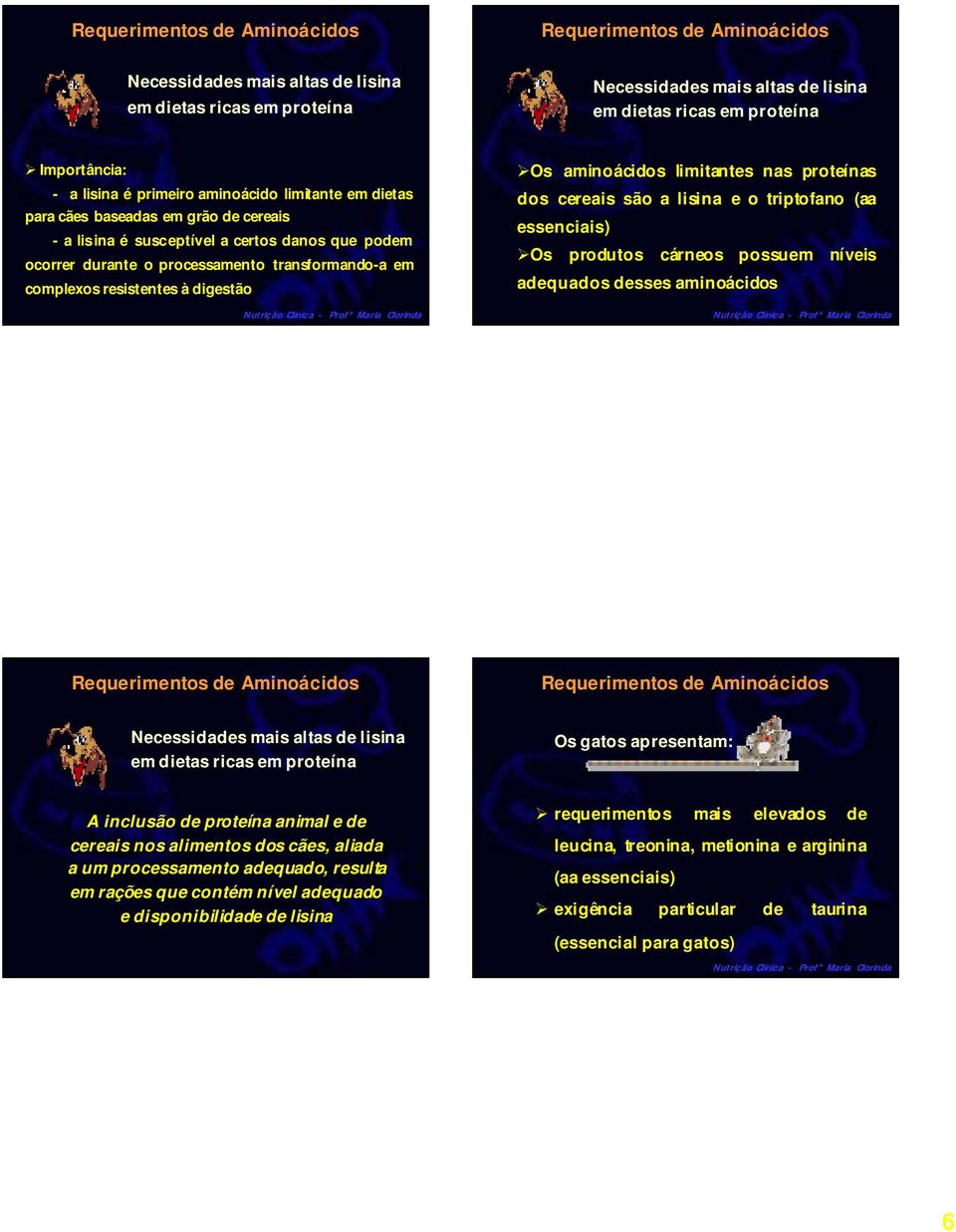 proteínas dos cereais são a lisina e o triptofano (aa essenciais) Os produtos cárneos possuem níveis adequados desses aminoácidos Necessidades mais altas de lisina em dietas ricas em proteína Os