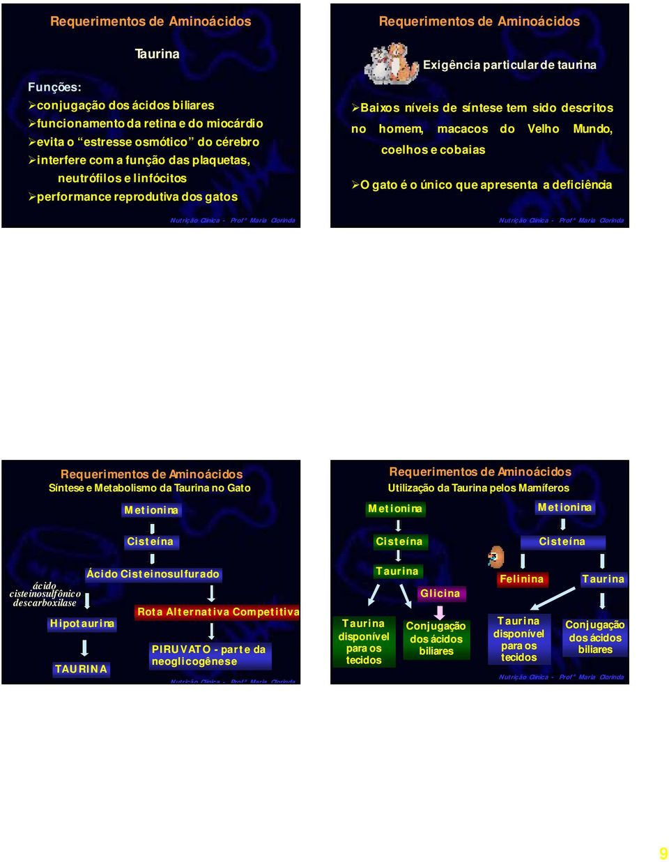 deficiência Síntese e Metabolismo da Taurina no Gato Metionina Utilização da Taurina pelos Mamíferos Metionina Metionina Cisteína Cisteína Cisteína ácido cisteinosulfônico descarboxilase Hipotaurina