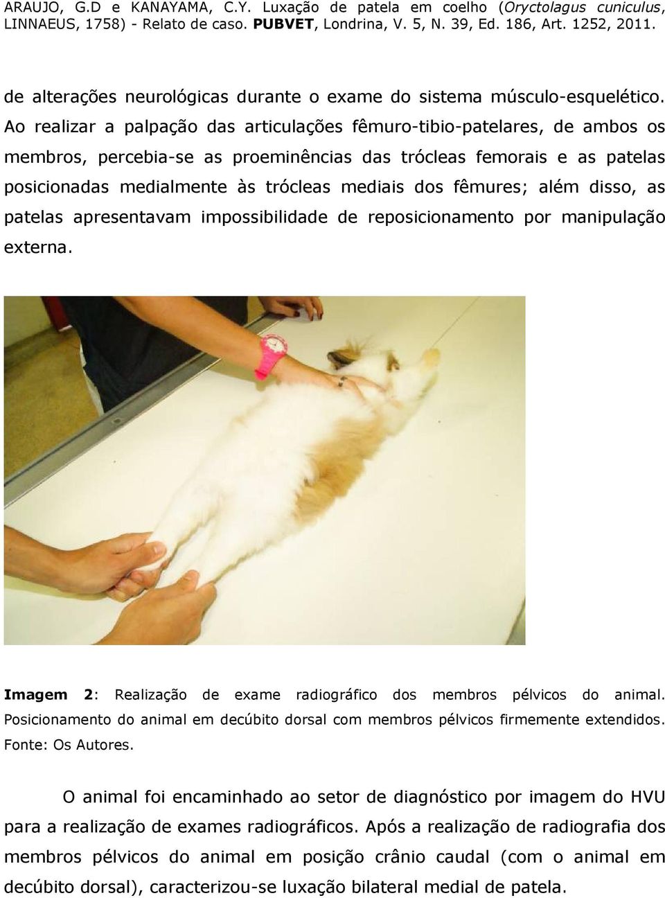 fêmures; além disso, as patelas apresentavam impossibilidade de reposicionamento por manipulação externa. Imagem 2: Realização de exame radiográfico dos membros pélvicos do animal.