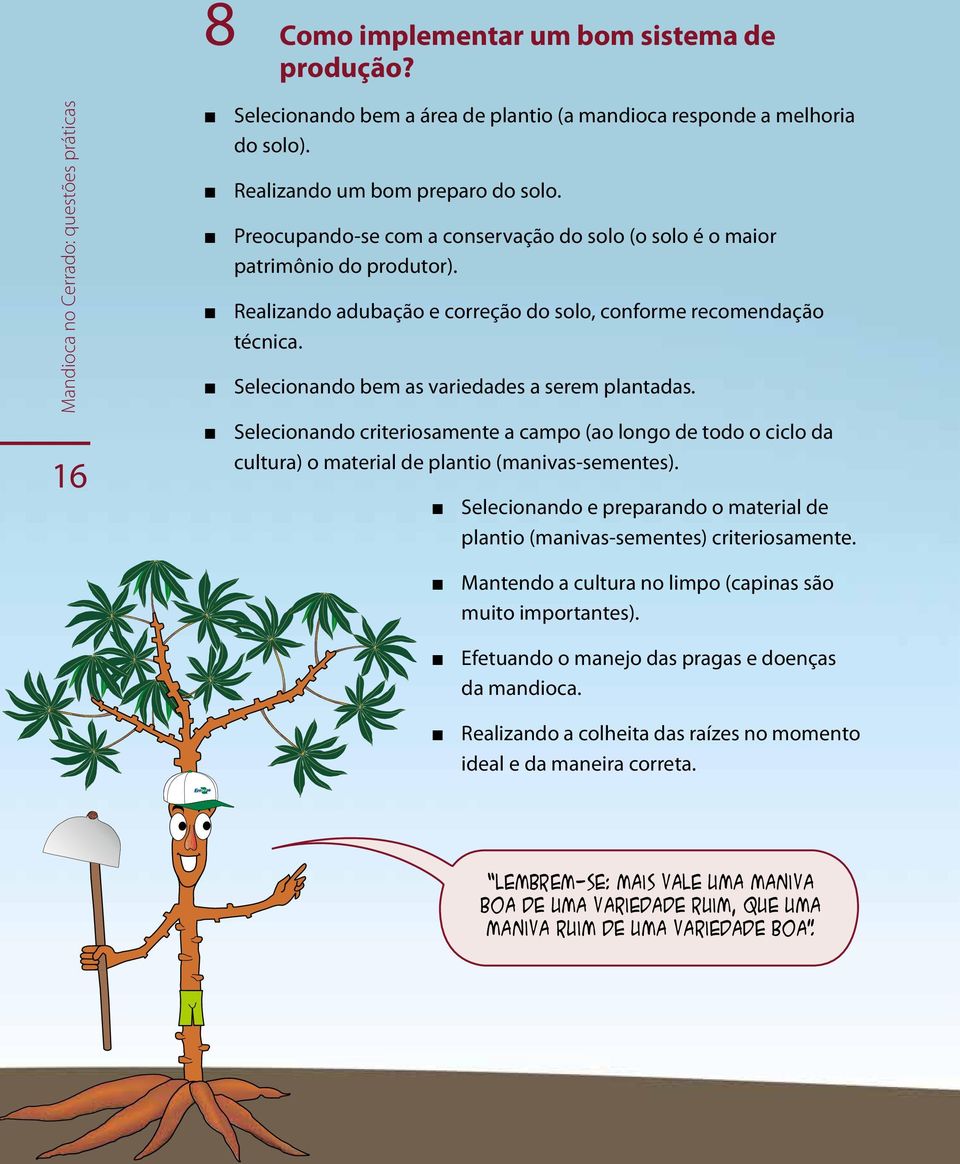 Selecionando bem as variedades a serem plantadas. Selecionando criteriosamente a campo (ao longo de todo o ciclo da cultura) o material de plantio (manivas-sementes).