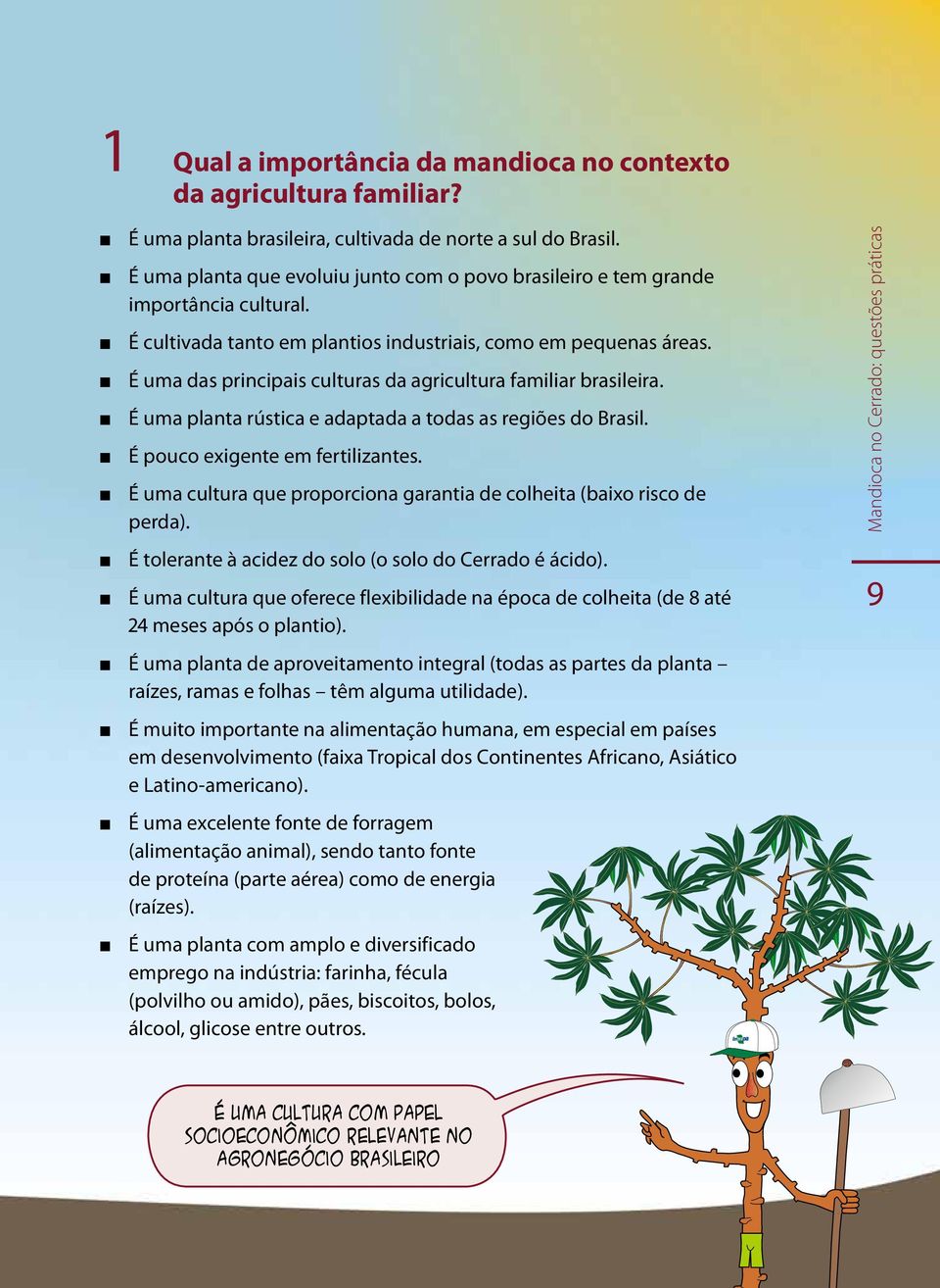 É uma das principais culturas da agricultura familiar brasileira. É uma planta rústica e adaptada a todas as regiões do Brasil. É pouco exigente em fertilizantes.