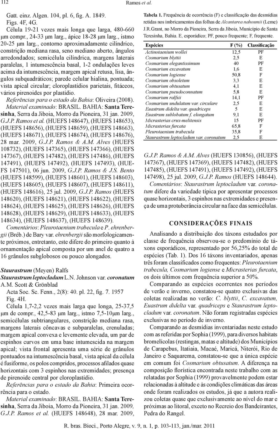 leves acima da intumescência, margem apical retusa, lisa, ângulos subquadráticos; parede celular hialina, pontuada; vista apical circular; cloroplastídios parietais, fitáceos, vários pirenoides por