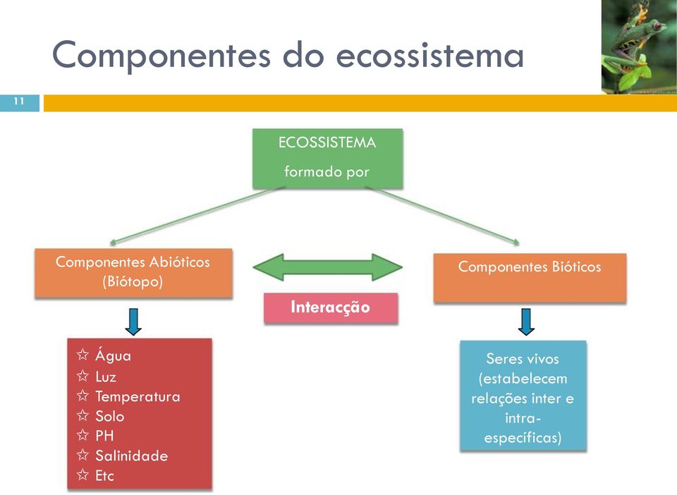 Bióticos Água Luz Temperatura Solo PH Salinidade Etc