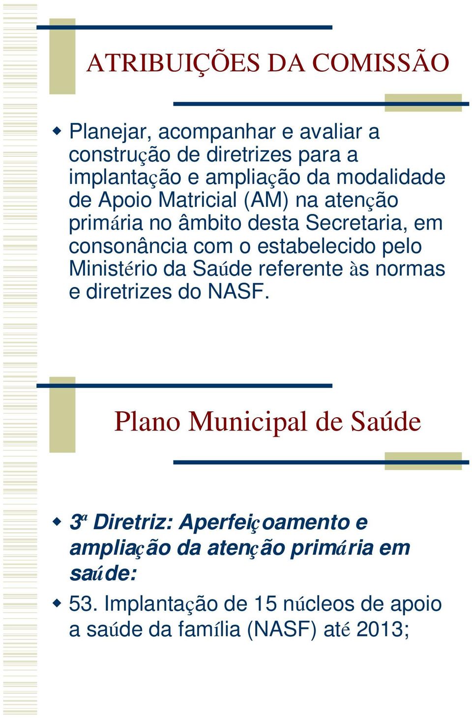 pelo Ministério da Saúde referente às normas e diretrizes do NASF.