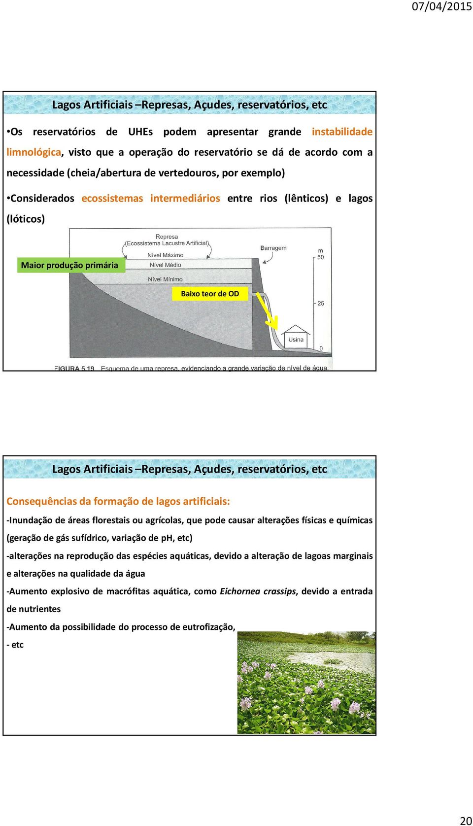 Represas, Açudes, reservatórios, etc Consequências da formação de lagos artificiais: -Inundação de áreas florestais ou agrícolas, que pode causar alterações físicas e químicas (geração de gás