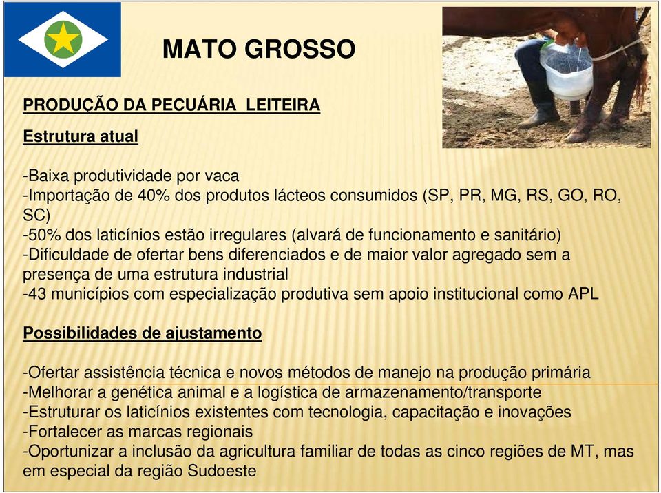 apoio institucional como APL Possibilidades de ajustamento -Ofertar assistência técnica e novos métodos de manejo na produção primária -Melhorar a genética animal e a logística de