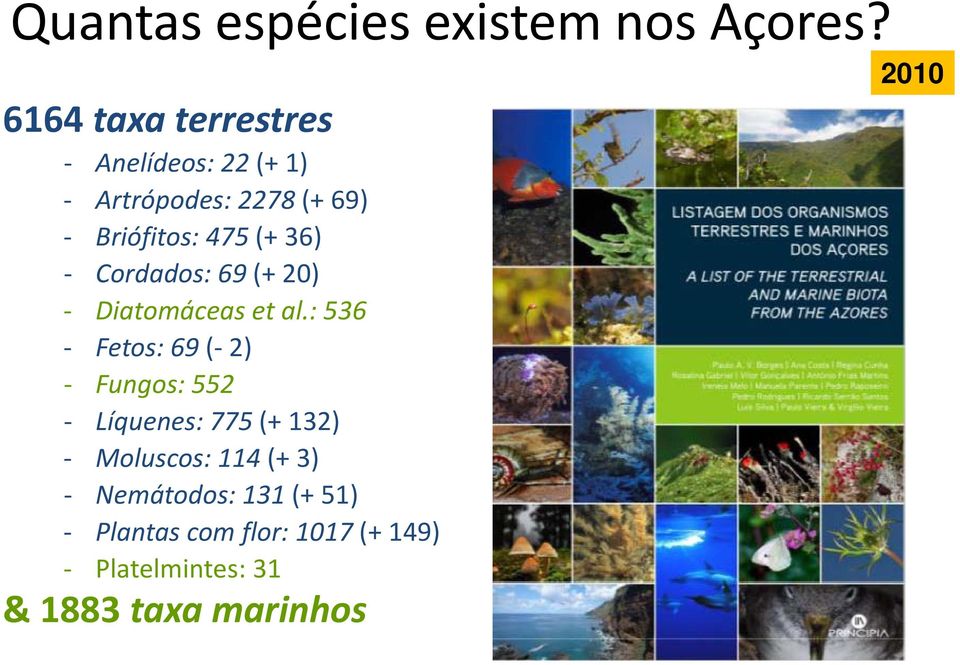 36) Cordados: 69 (+ 20) Diatomáceas et al.