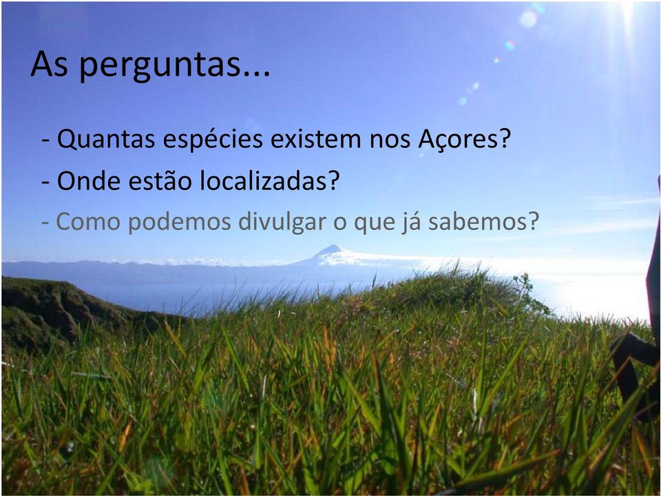 nos Açores?