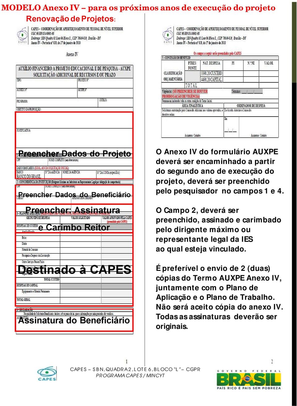 encaminhado a partir DEVERÁ SER ENCAMINHADO A PARTIR DO SEGUNDO do segundo ANO DE ano EXECUÇÃO de execução DO do PROJETO, projeto, DEVERÁ deverá SER ser PREENCHIDO preenchido PELO PESQUISADOR pelo