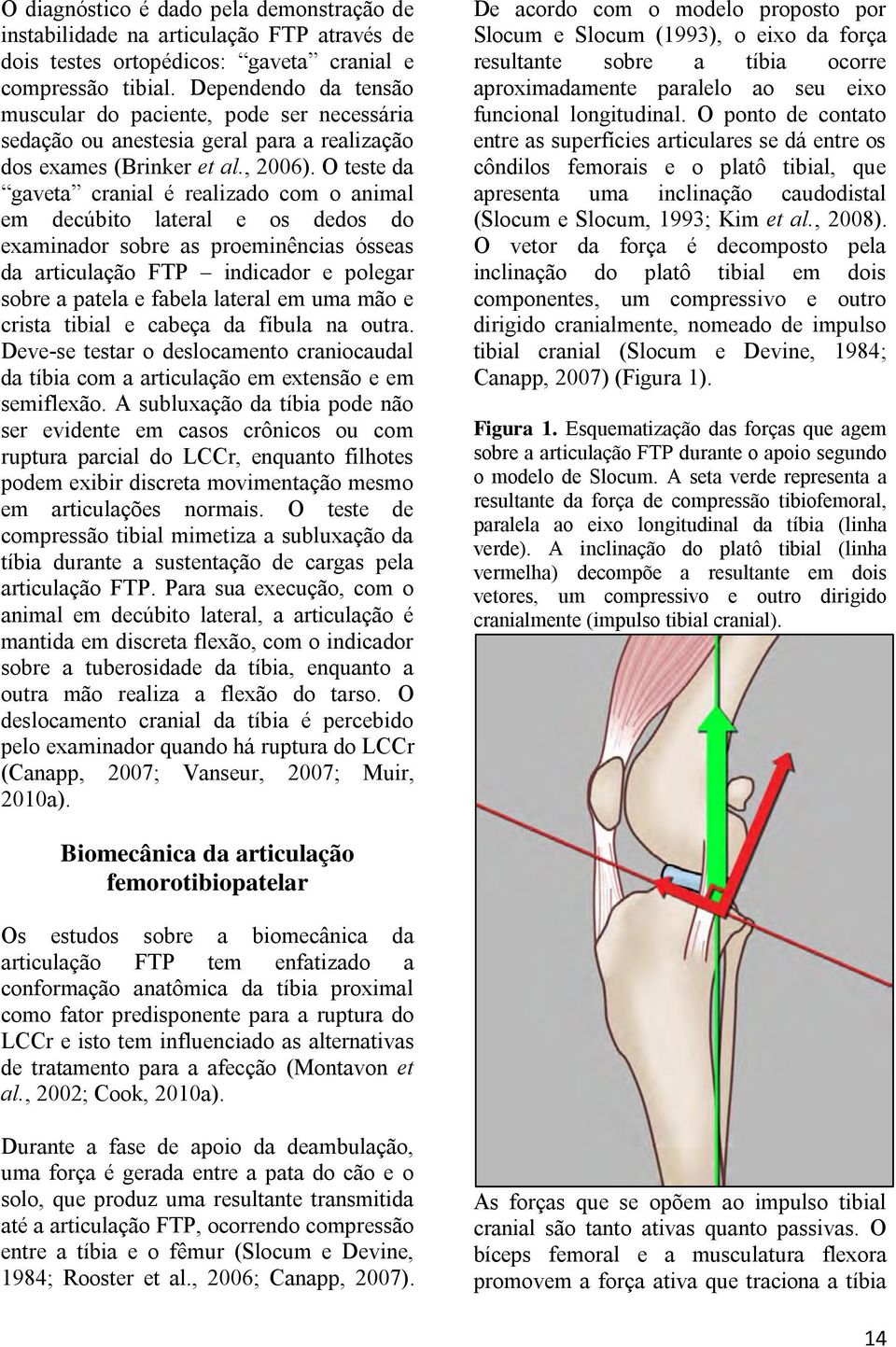 O teste da gaveta cranial é realizado com o animal em decúbito lateral e os dedos do examinador sobre as proeminências ósseas da articulação FTP indicador e polegar sobre a patela e fabela lateral em