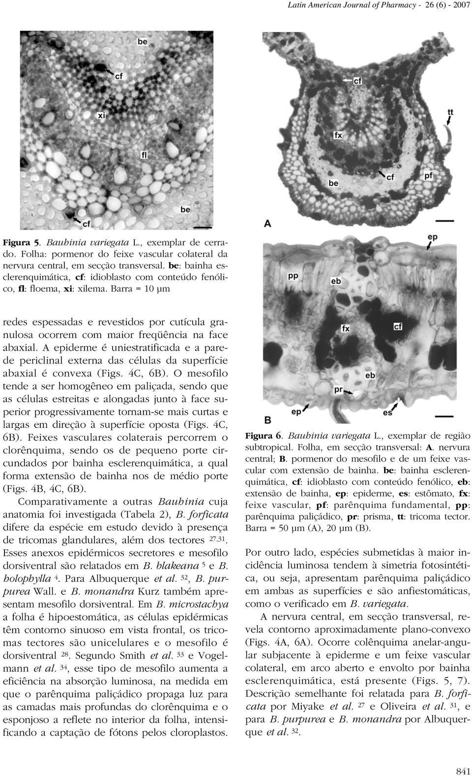 Barra = 10 µm redes espessadas e revestidos por cutícula granulosa ocorrem com maior freqüência na face abaxial.