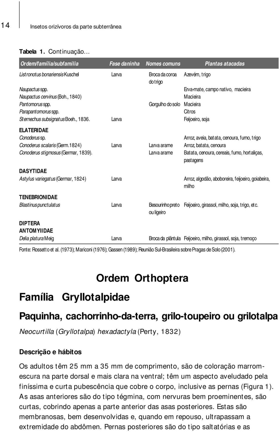 Erva-mate, campo nativo, macieira Naupactus cervinus (Boh., 1840) Macieira Pantomorus spp. Gorgulho do solo Macieira Parapantomorus spp. Citros Sternechus subsignatus Boeh., 1836.