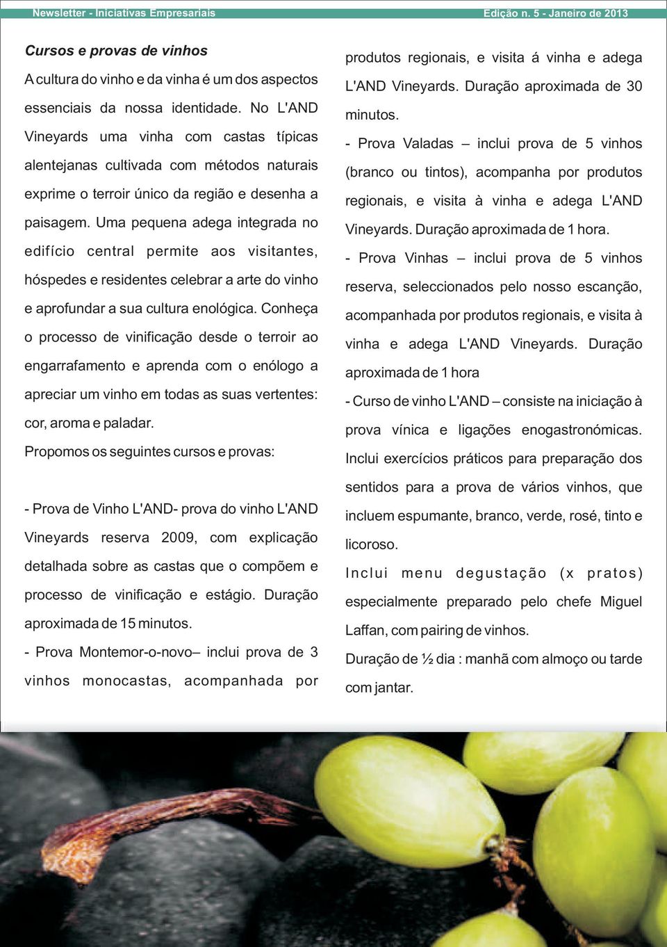 Uma pequena adega integrada no edifício central permite aos visitantes, hóspedes e residentes celebrar a arte do vinho e aprofundar a sua cultura enológica.