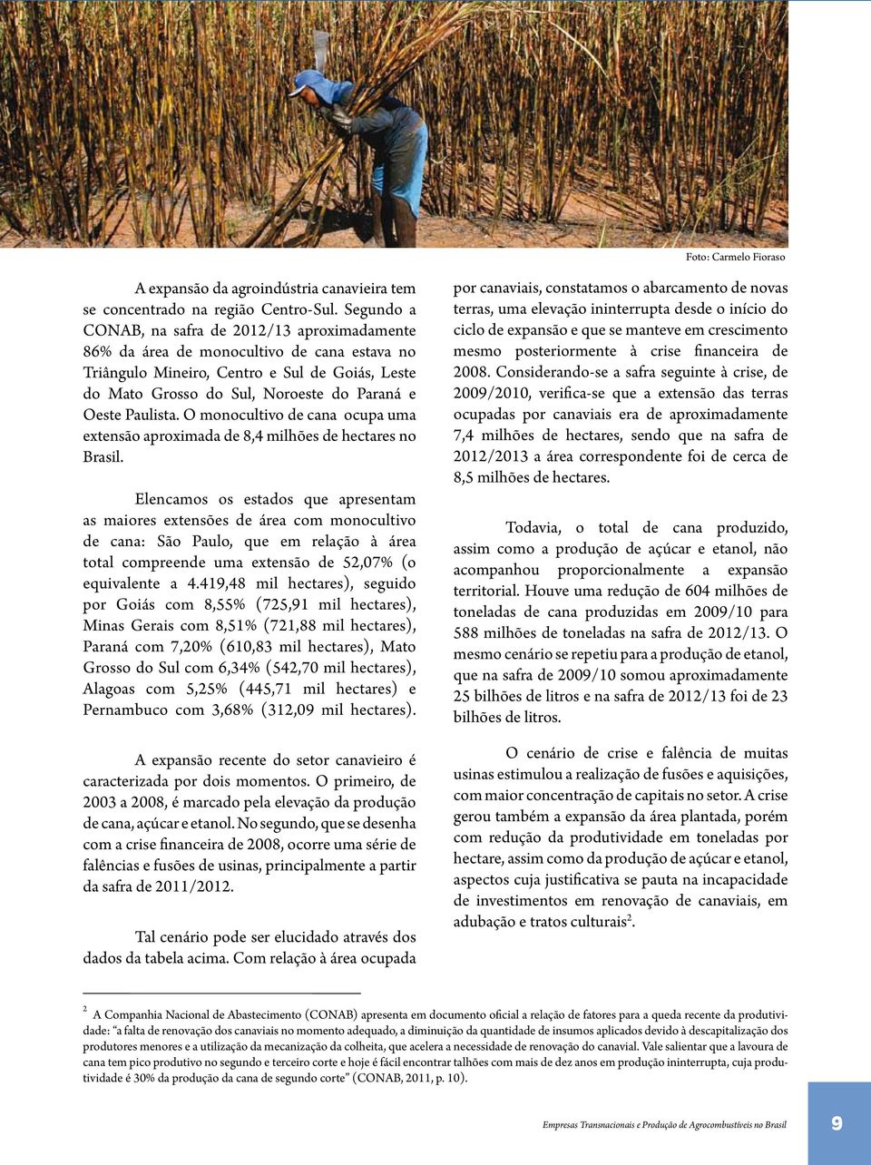 Paulista. O monocultivo de cana ocupa uma extensão aproximada de 8,4 milhões de hectares no Brasil.