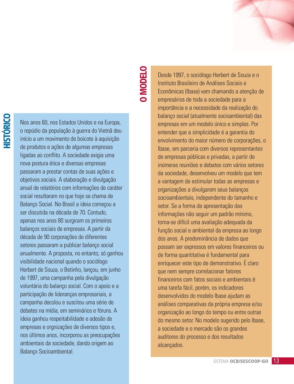 A elaboração e divulgação anual de relatórios com informações de caráter social resultaram no que hoje se chama de Balanço Social. No Brasil a ideia começou a ser discutida na década de 70.