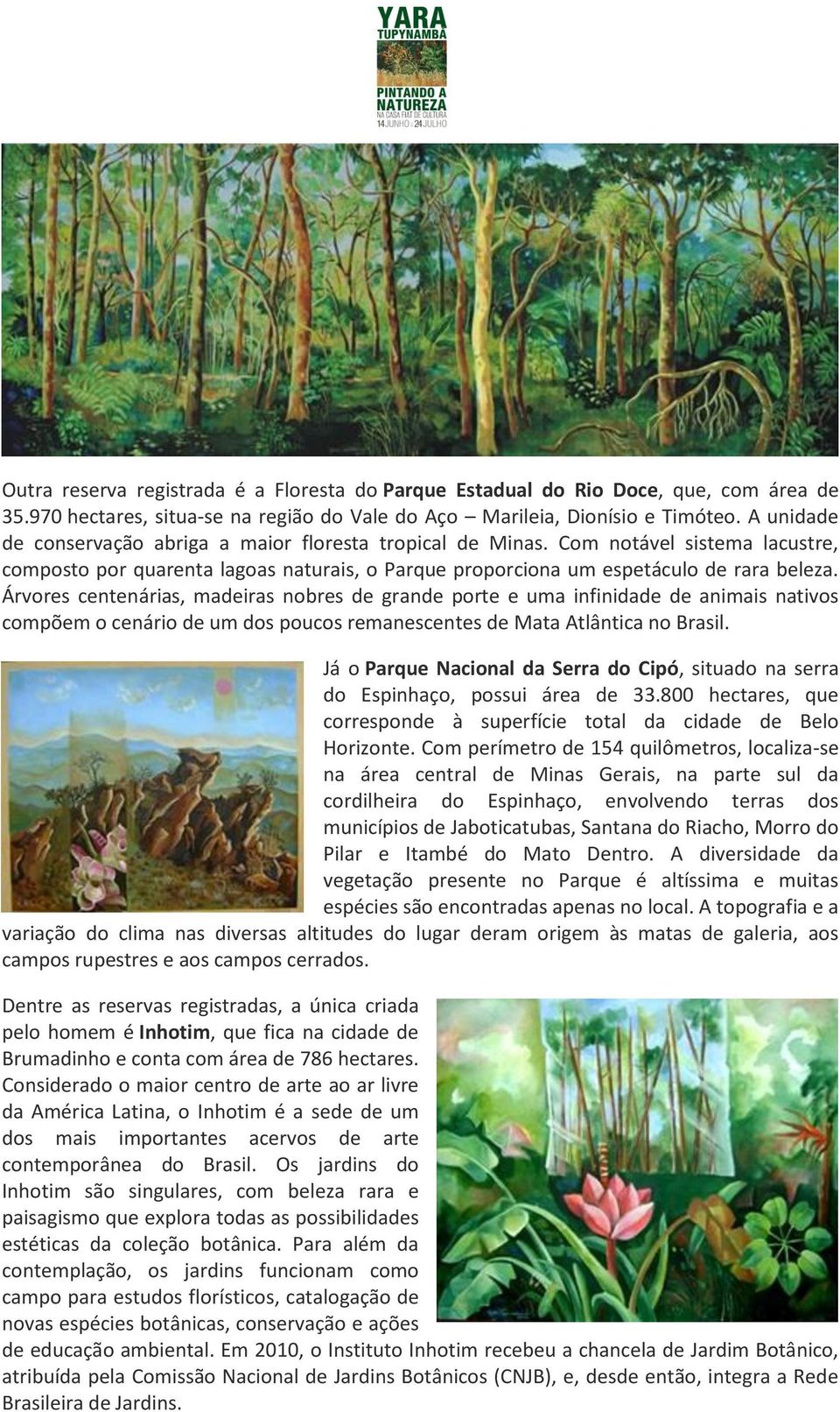 Árvores centenárias, madeiras nobres de grande porte e uma infinidade de animais nativos compõem o cenário de um dos poucos remanescentes de Mata Atlântica no Brasil.