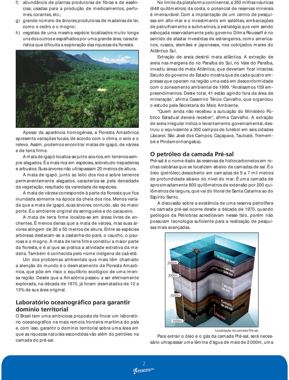 característica que dificulta a exploração das riquezas da floresta. Apesar da aparência homogênea, a Floresta Amazônica apresenta variações locais, de acordo com o clima, o solo e o relevo.