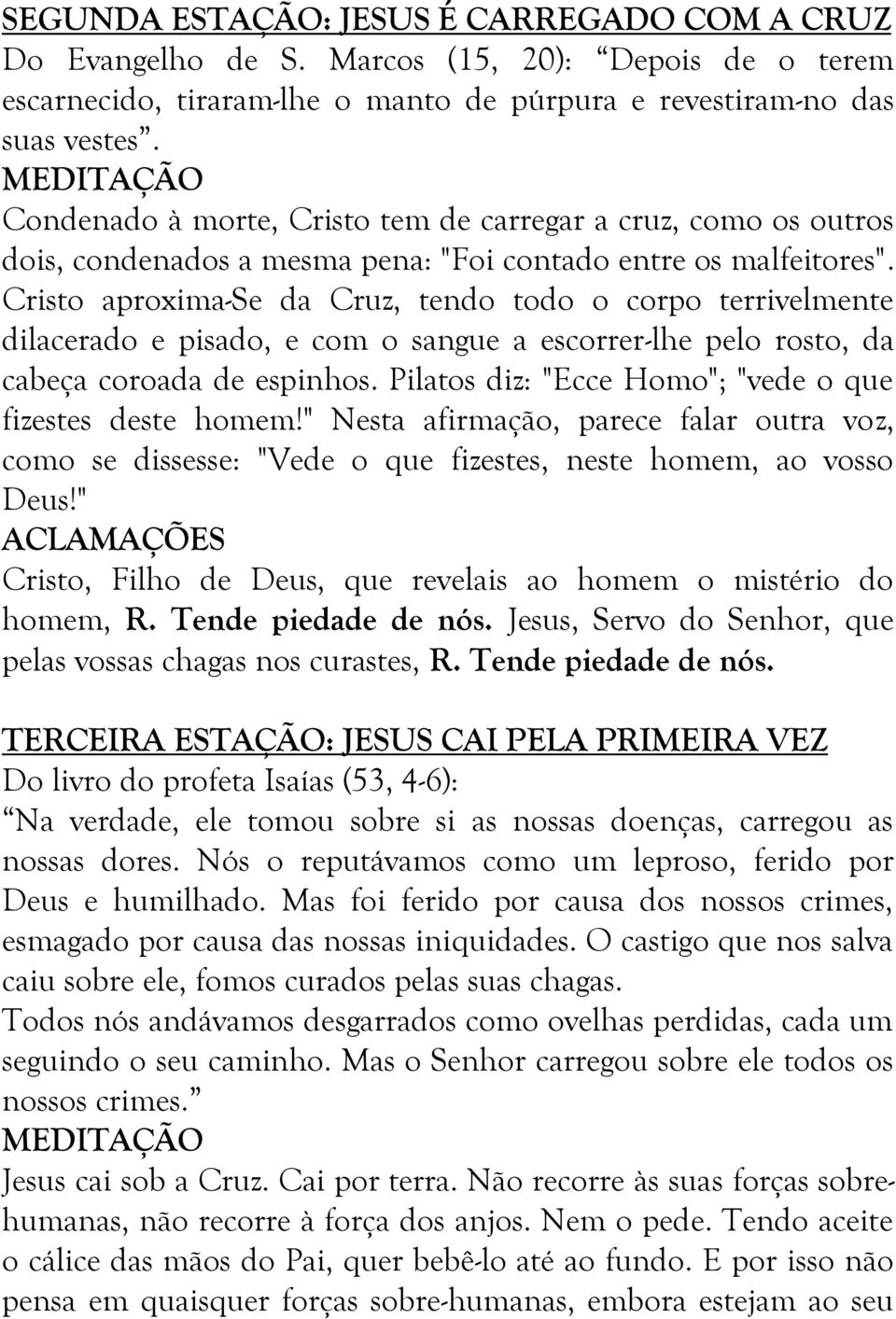 Cristo aproxima-se da Cruz, tendo todo o corpo terrivelmente dilacerado e pisado, e com o sangue a escorrer-lhe pelo rosto, da cabeça coroada de espinhos.