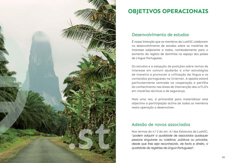 Os estudos e a adopção de posições sobre temas de interesse em comum ajudarão a criar estratégias de maneira a promover a utilização da língua e os conteúdos portugueses na Internet.