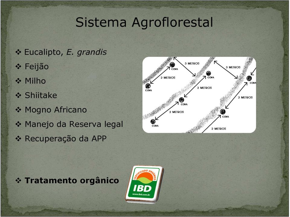 Africano Manejo da Reserva legal