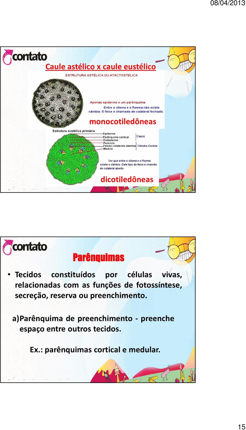 fotossíntese, secreção, reserva ou preenchimento.