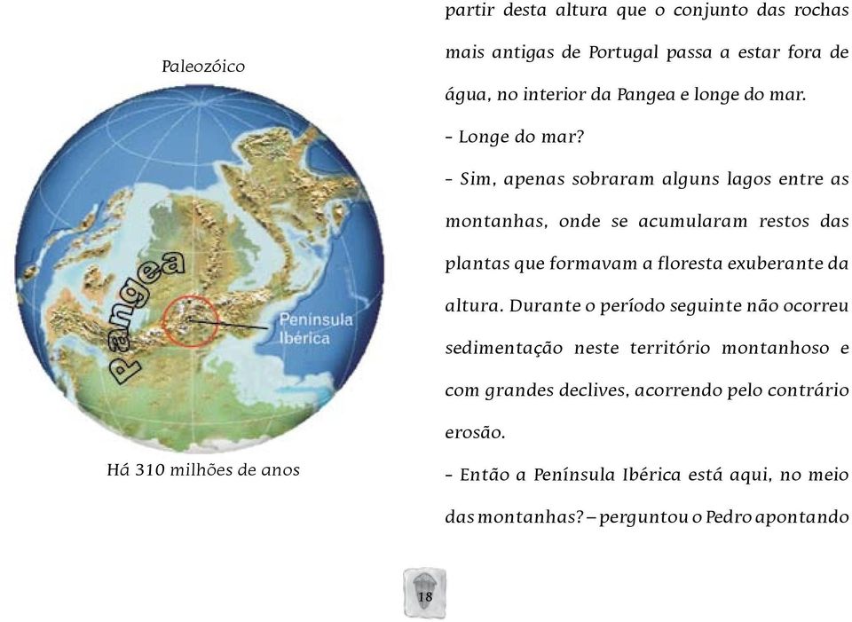 - Sim, apenas sobraram alguns lagos entre as montanhas, onde se acumularam restos das plantas que formavam a floresta exuberante da altura.