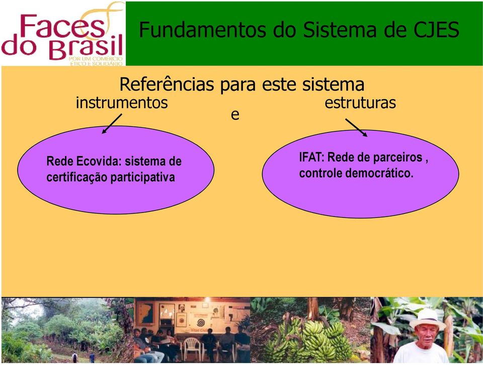 Rede Ecovida: sistema de certificação