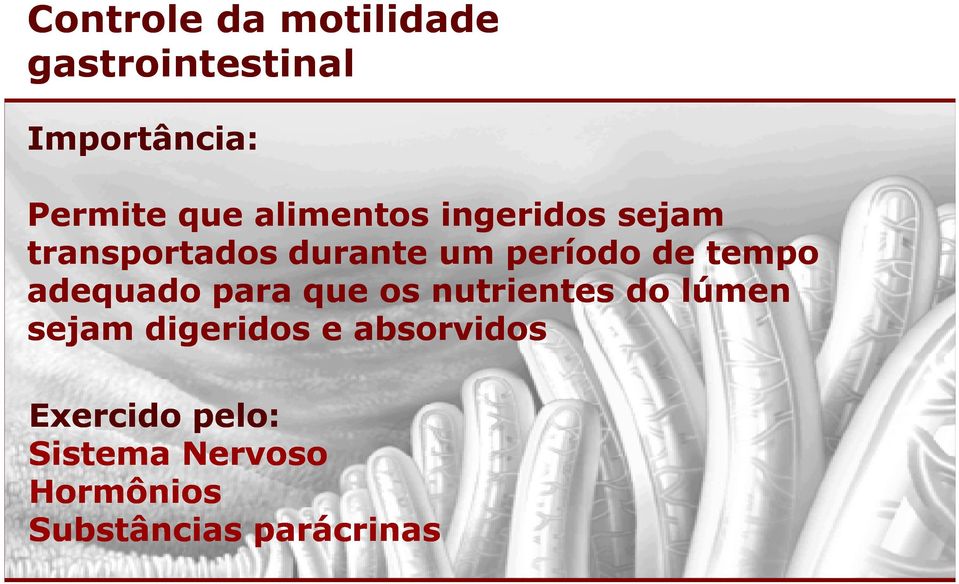 tempo adequado para que os nutrientes do lúmen sejam digeridos e