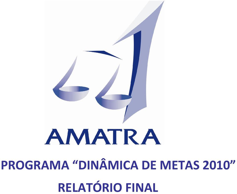 METAS 2010