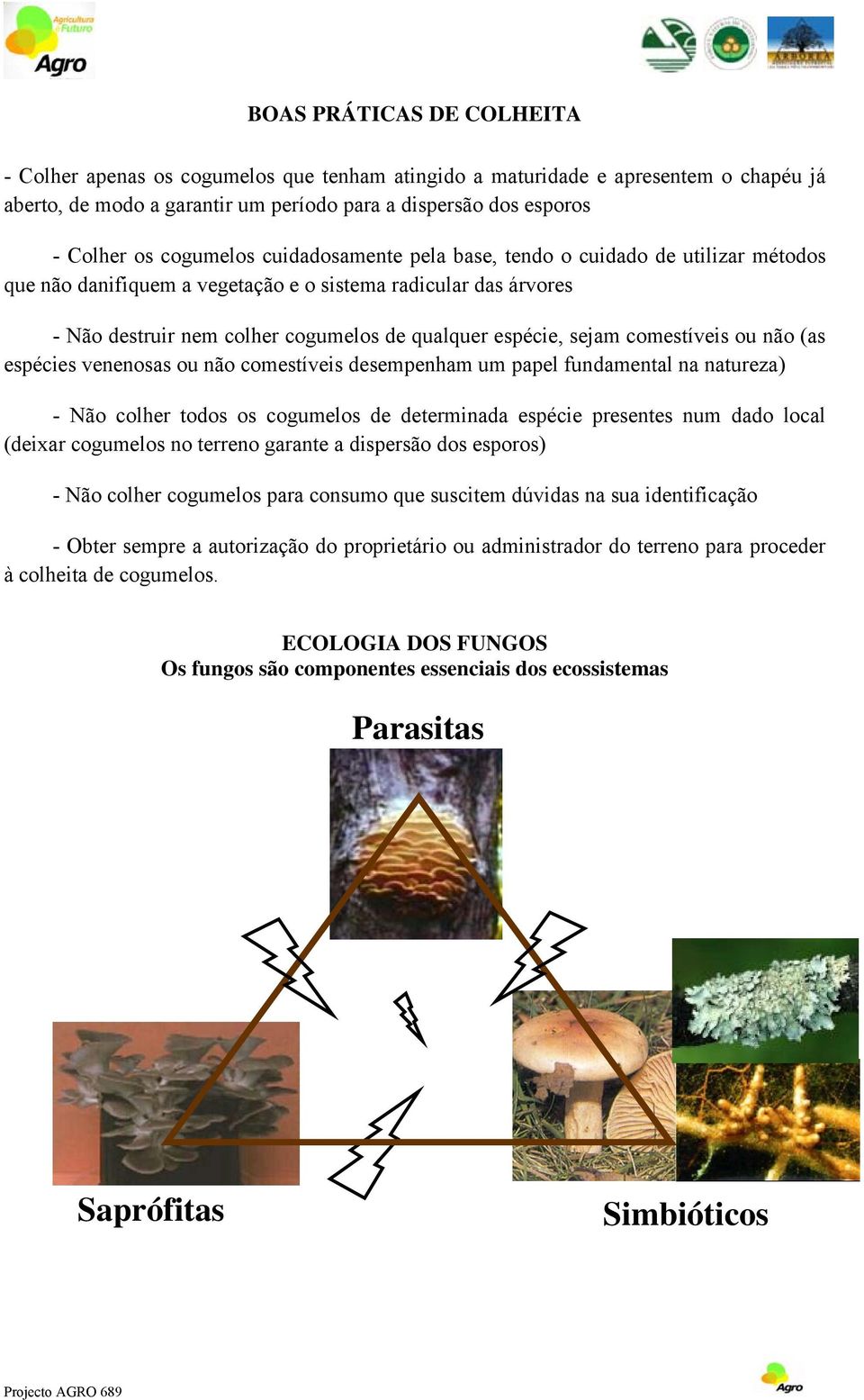 comestíveis ou não (as espécies venenosas ou não comestíveis desempenham um papel fundamental na natureza) - Não colher todos os cogumelos de determinada espécie presentes num dado local (deixar