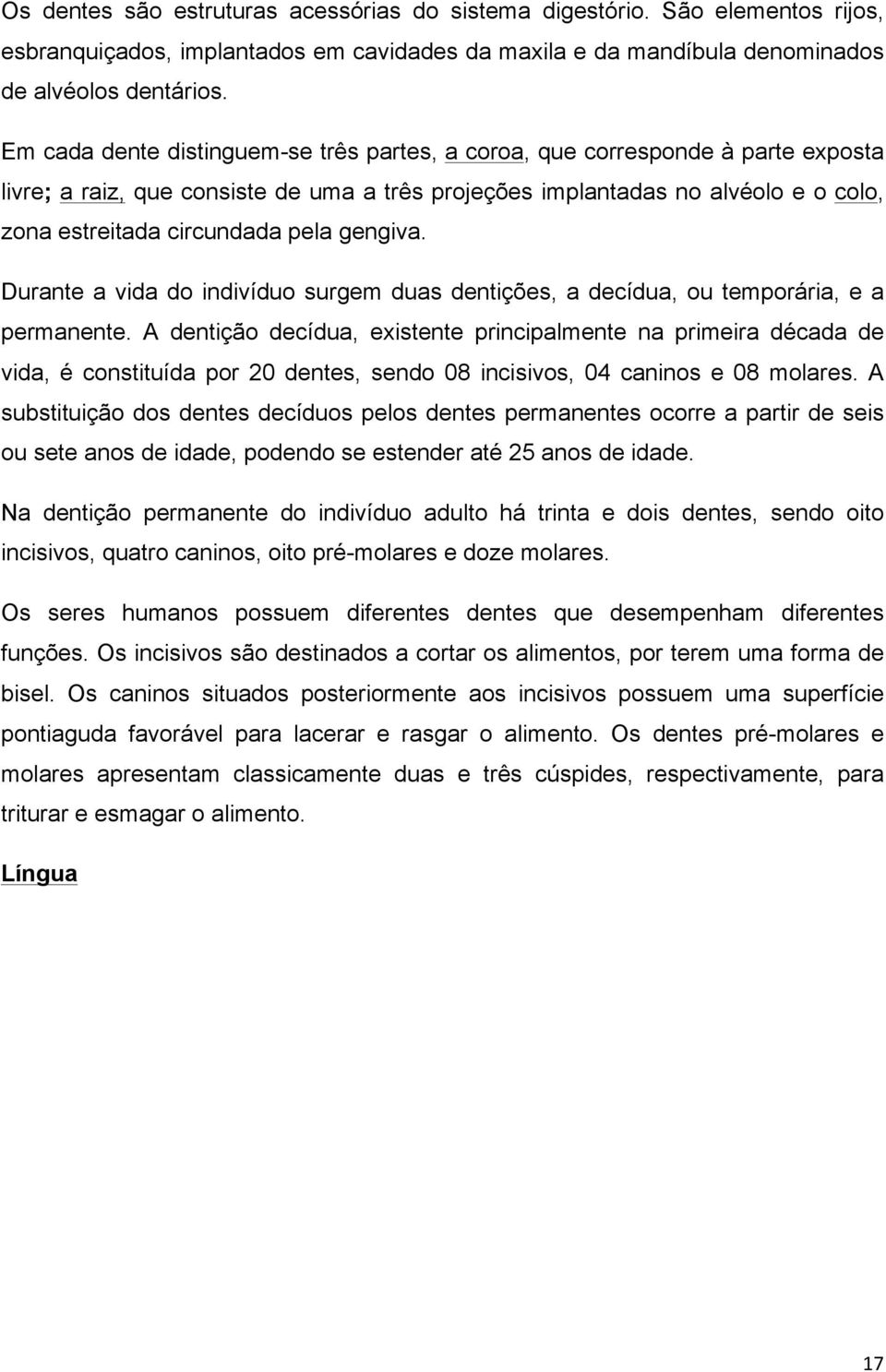 gengiva. Durante a vida do indivíduo surgem duas dentições, a decídua, ou temporária, e a permanente.