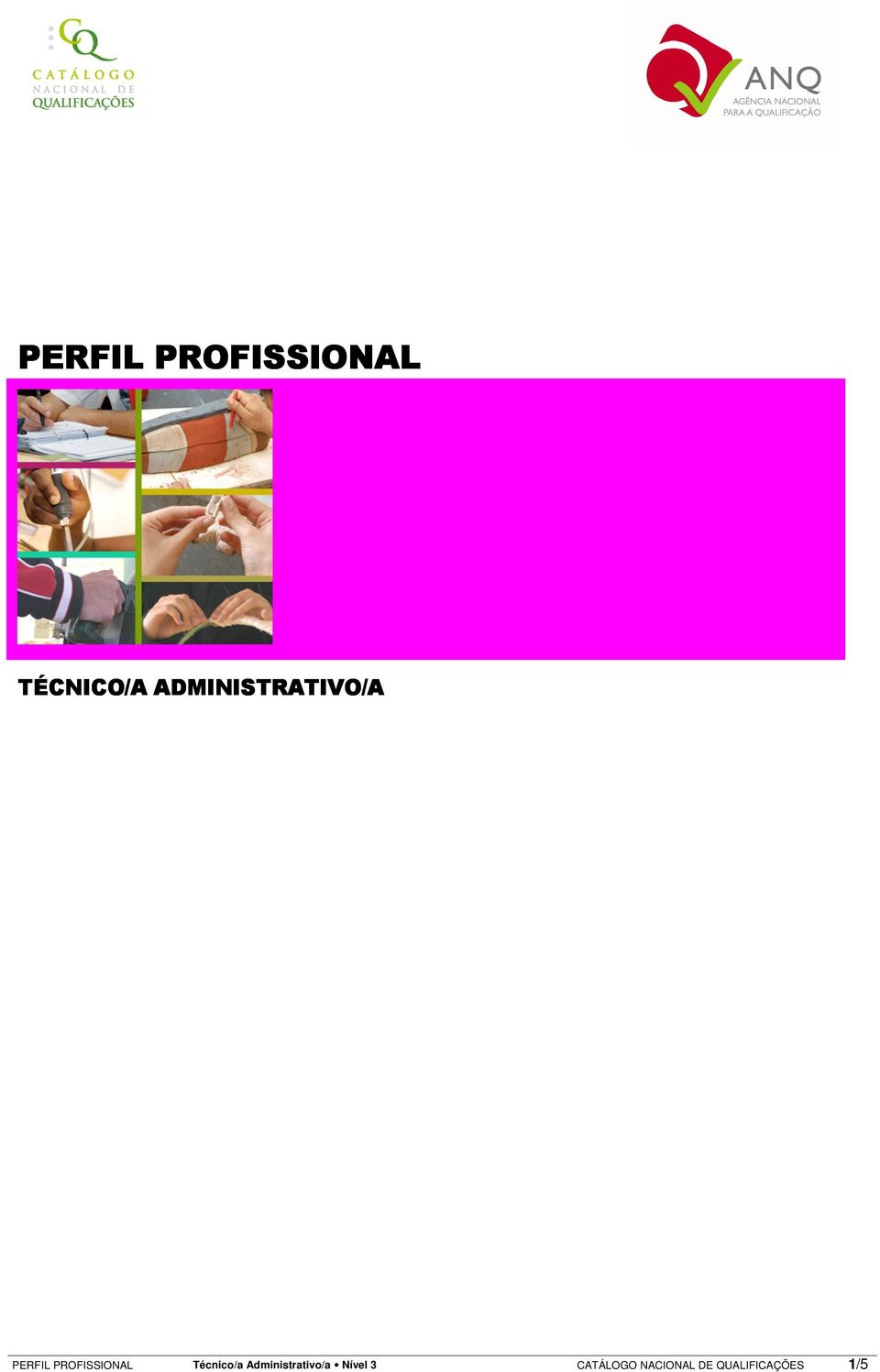 PROFISSIONAL Técnico/a