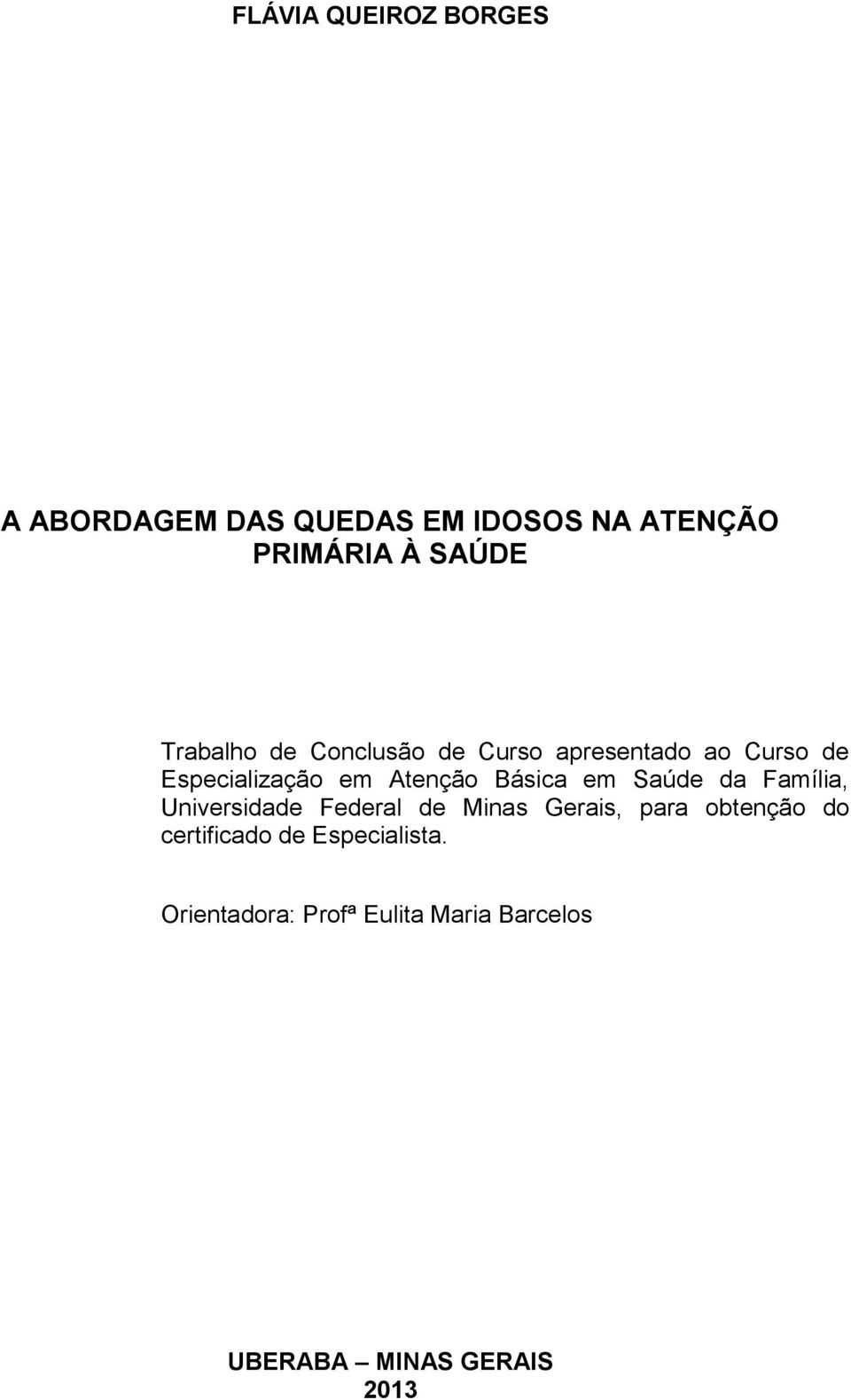 Básica em Saúde da Família, Universidade Federal de Minas Gerais, para obtenção do