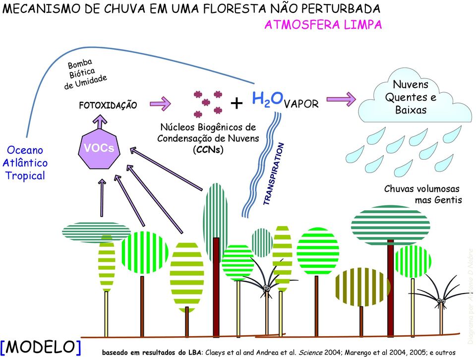 Baixas Chuvas volumosas mas Gentis [MODELO] baseado em resultados do LBA: Claeys et al