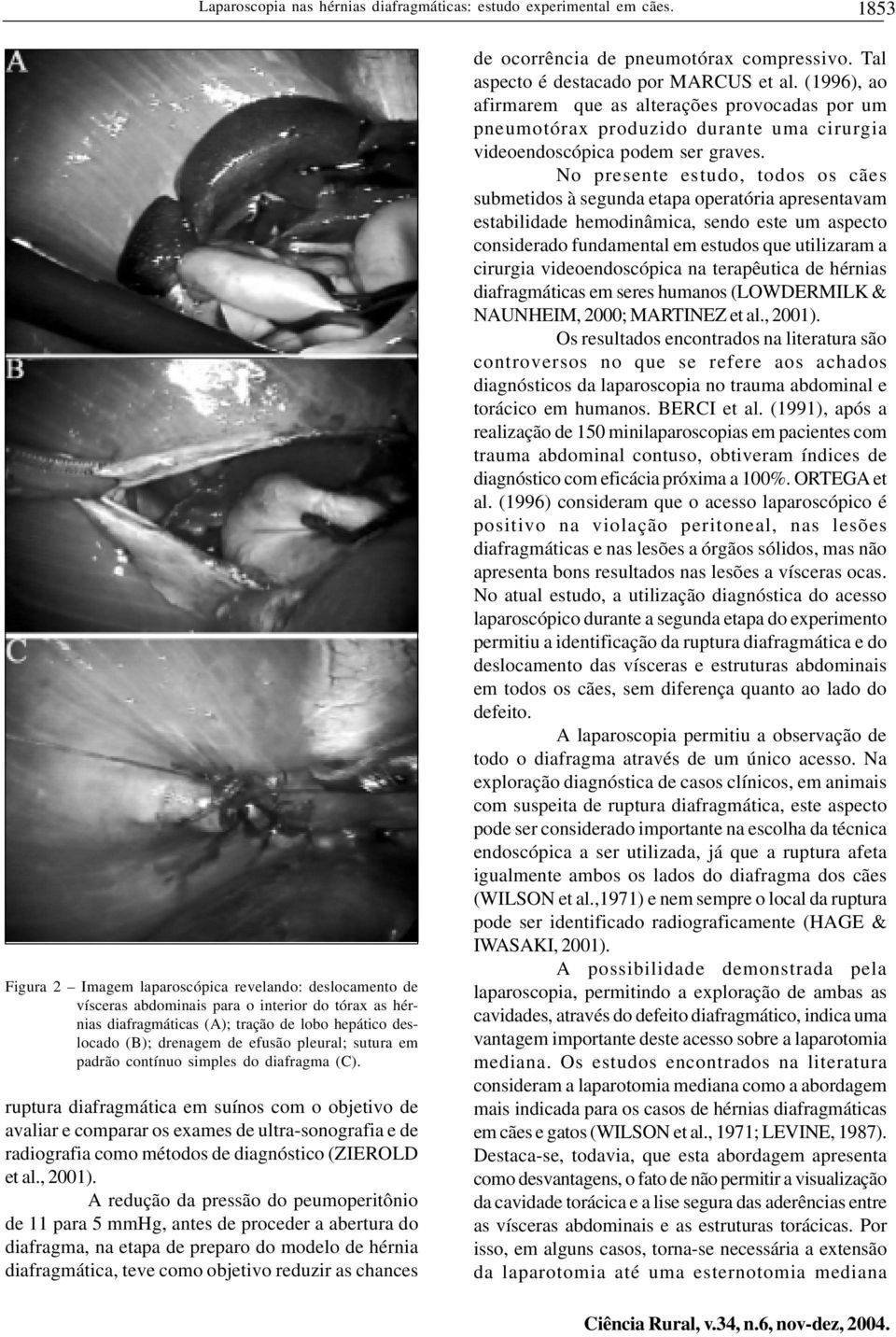 pleural; sutura em padrão contínuo simples do diafragma (C).