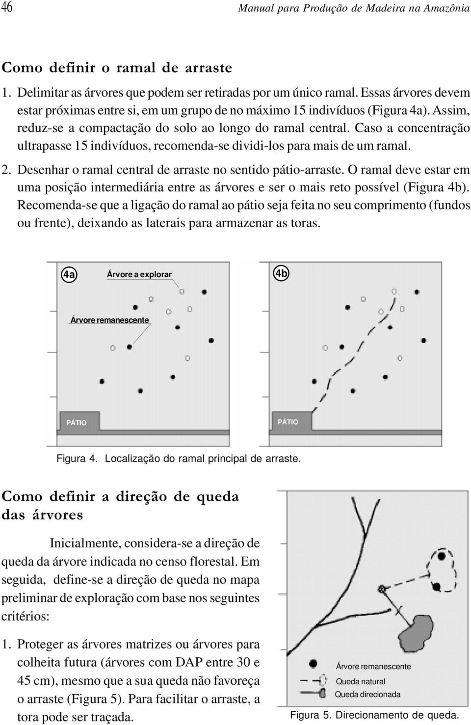 Caso a concentração ultrapasse 15 indivíduos, recomenda-se dividi-los para mais de um ramal. 2. Desenhar o ramal central de arraste no sentido pátio-arraste.