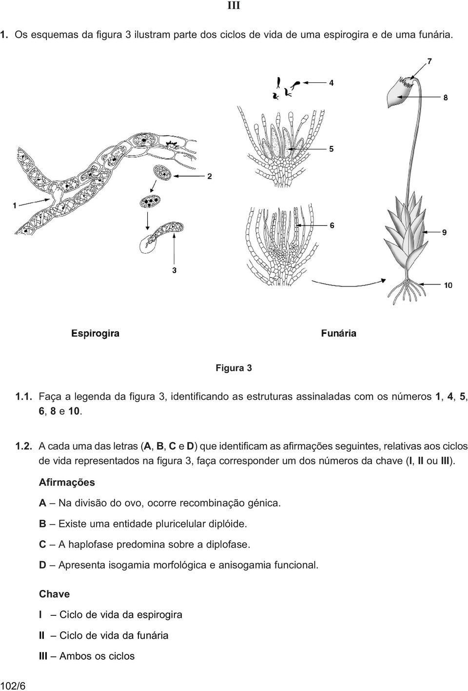 chave (I, II ou III). Afirmações A Na divisão do ovo, ocorre recombinação génica. B Existe uma entidade pluricelular diplóide. C A haplofase predomina sobre a diplofase.