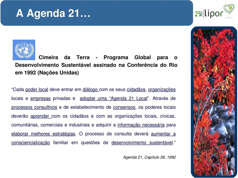 Através de processos consultivos e de estabelecimento de consensos, os poderes locais deverão aprender com os cidadãos e com as organizações locais, cívicas,